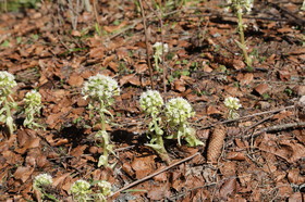 Ma balade du premier mai 2019