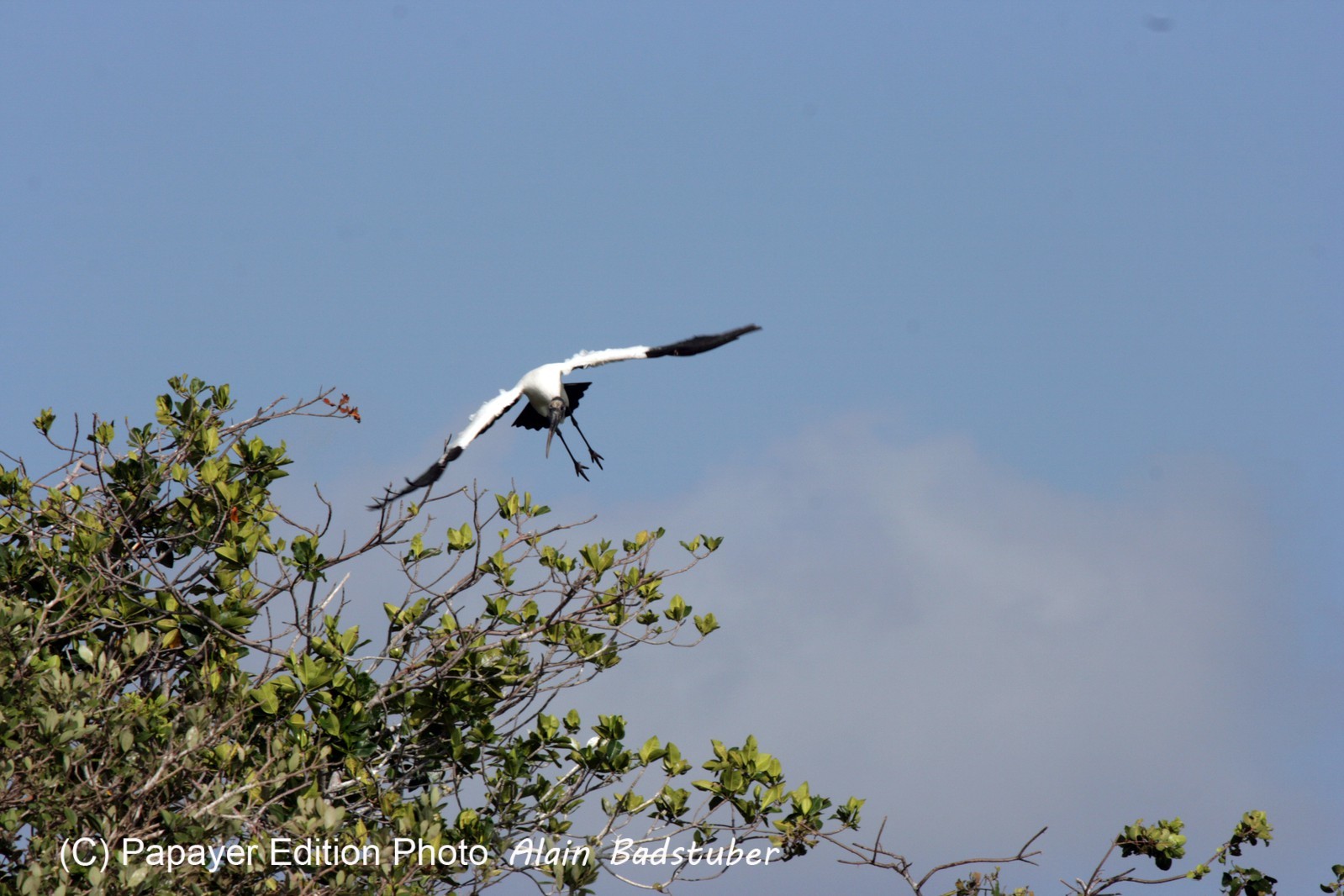 Images_Belize_2011_101