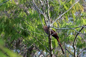 Images_Belize_2011_366