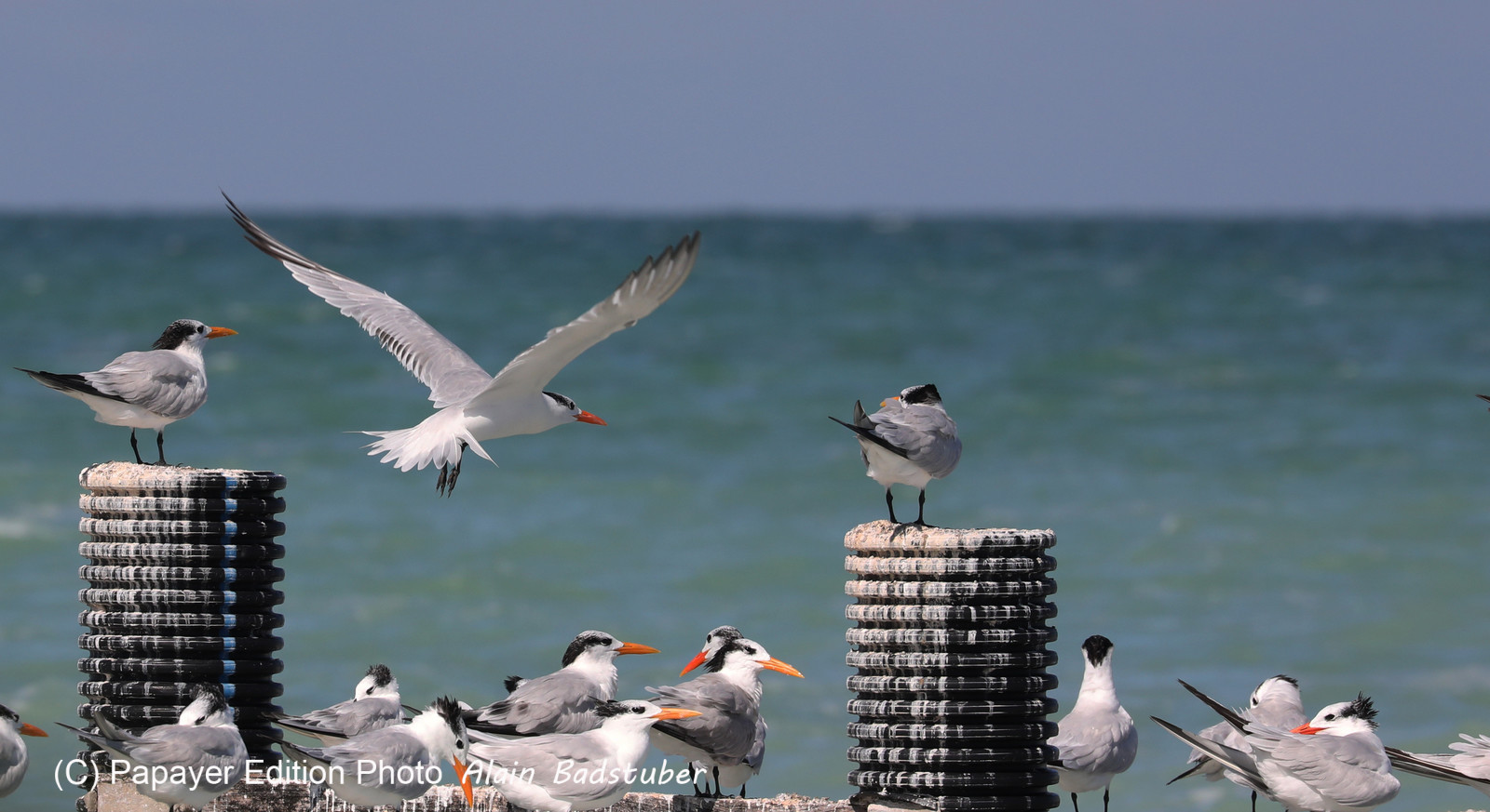 Deuxième séjour à Sarteneja, Bélize, Novembre - Décembre 2021