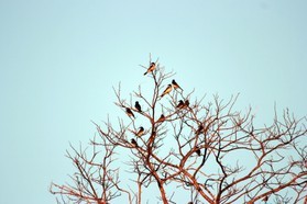 Images_Belize_2011_359