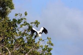 Images_Belize_2011_210