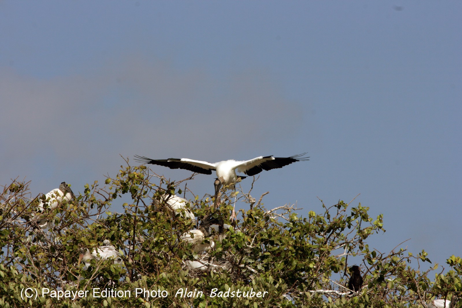 Images_Belize_2011_096