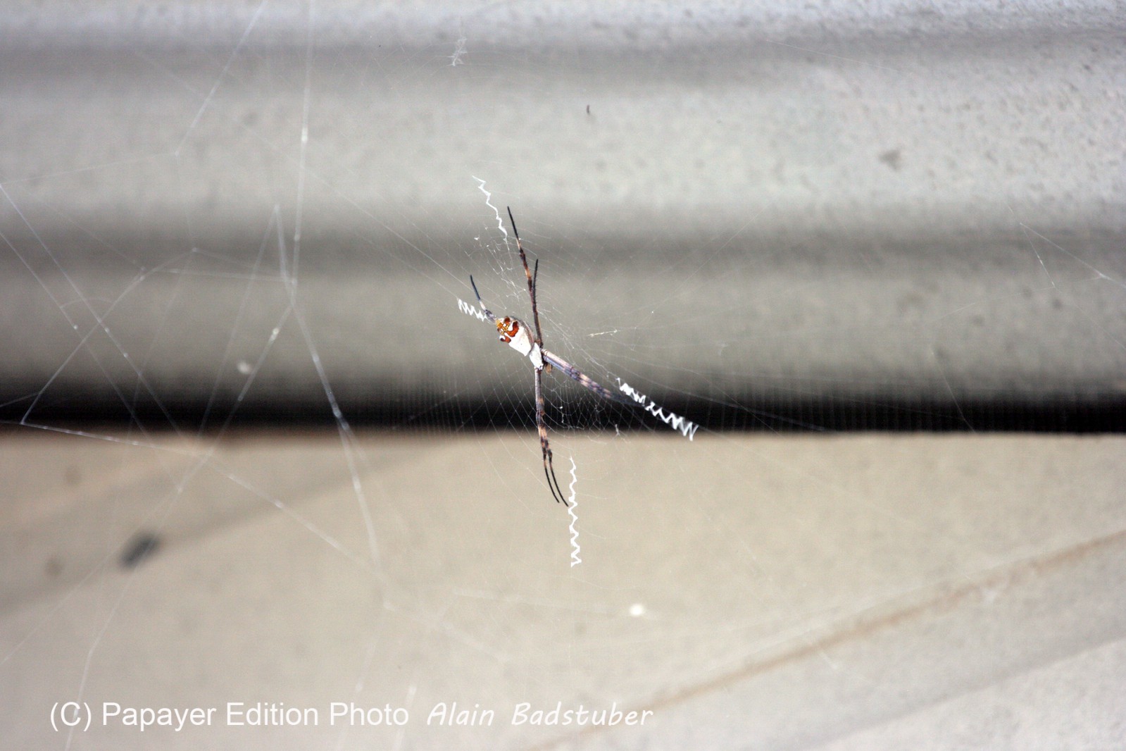 Images_Belize_2011_151