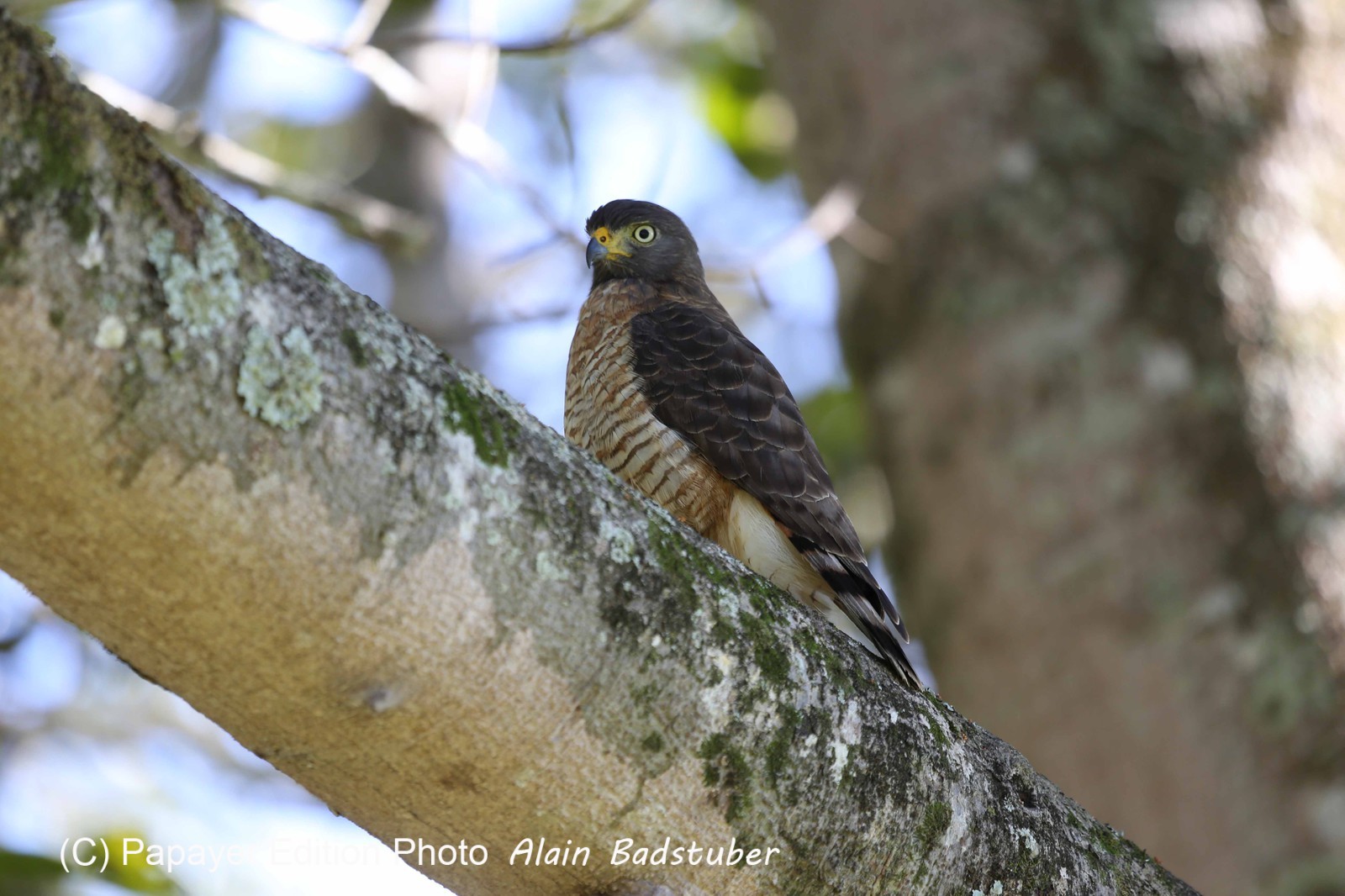 Portal_Paraiso_2_085.jpg Portal_Paraiso_2_085.jpg