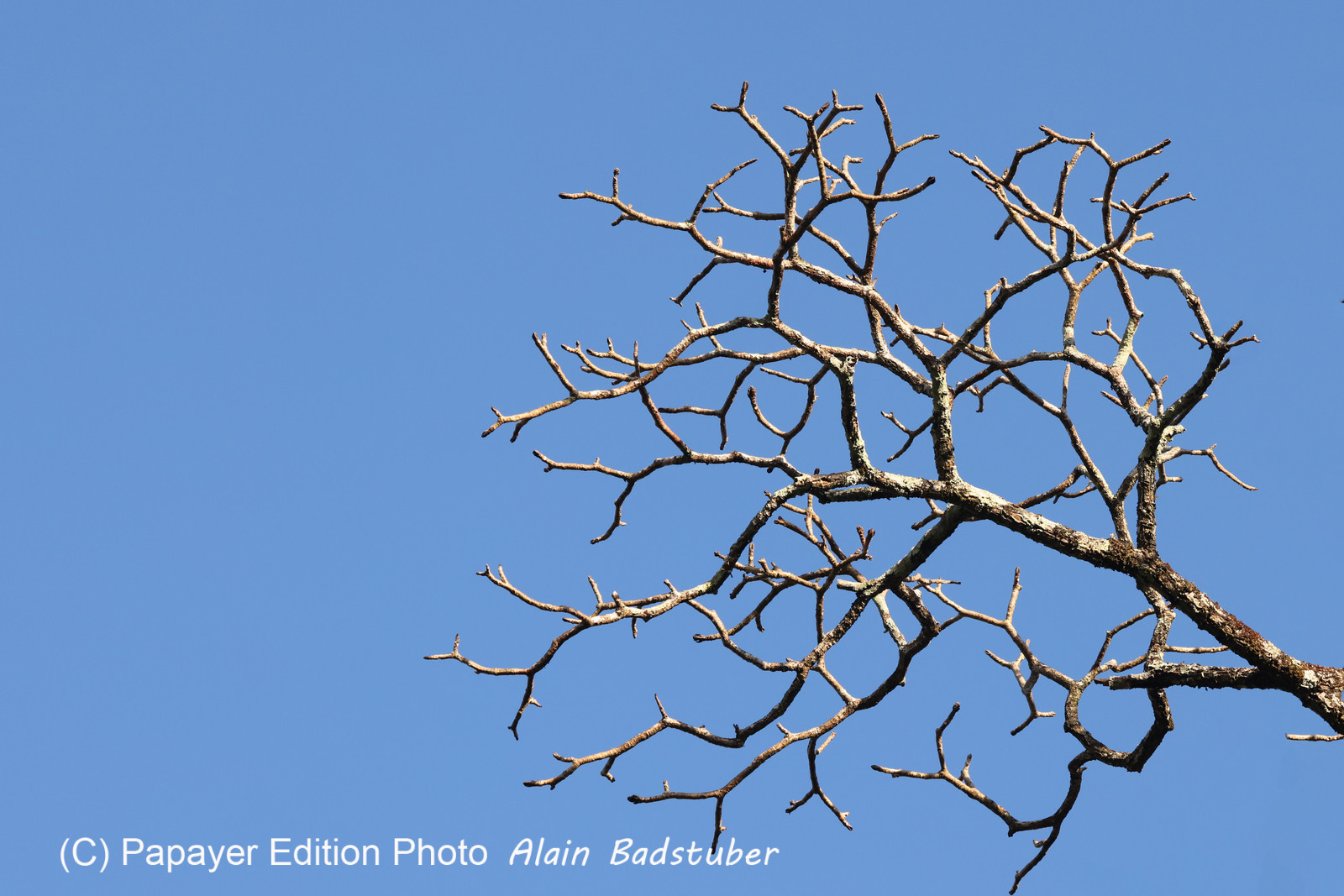 El Valle De Anton El Valle De Anton