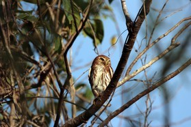 Images_Belize_2011_336