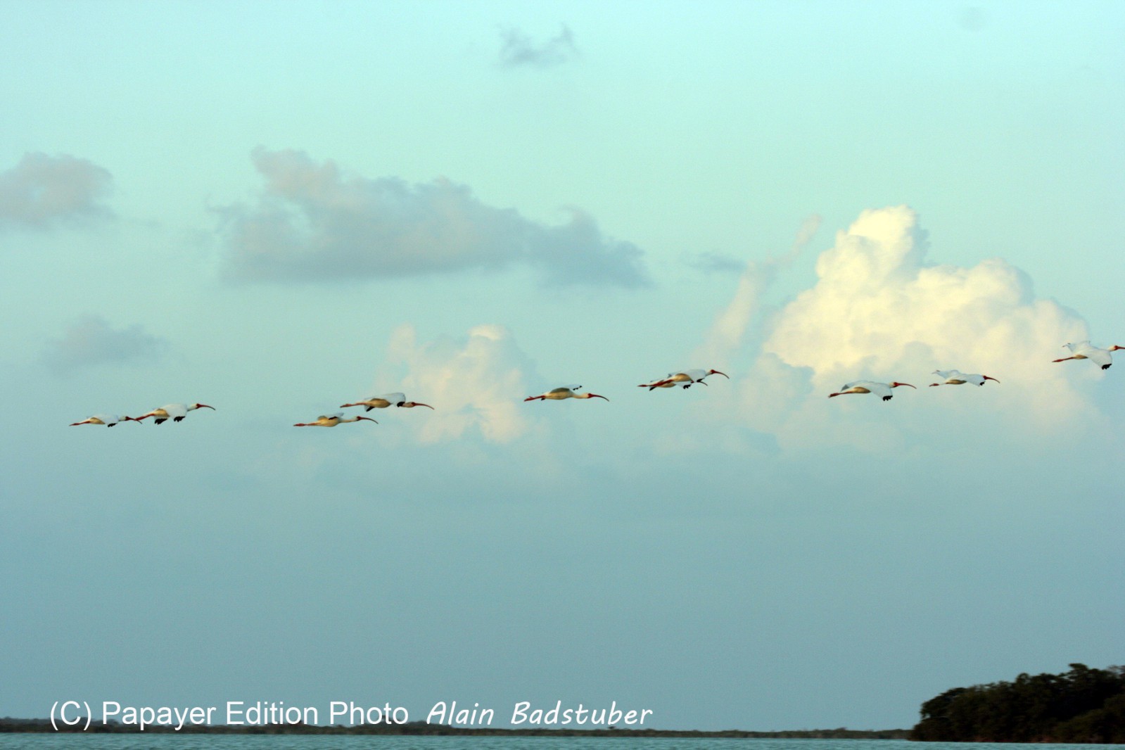 Images_Belize_2011_224