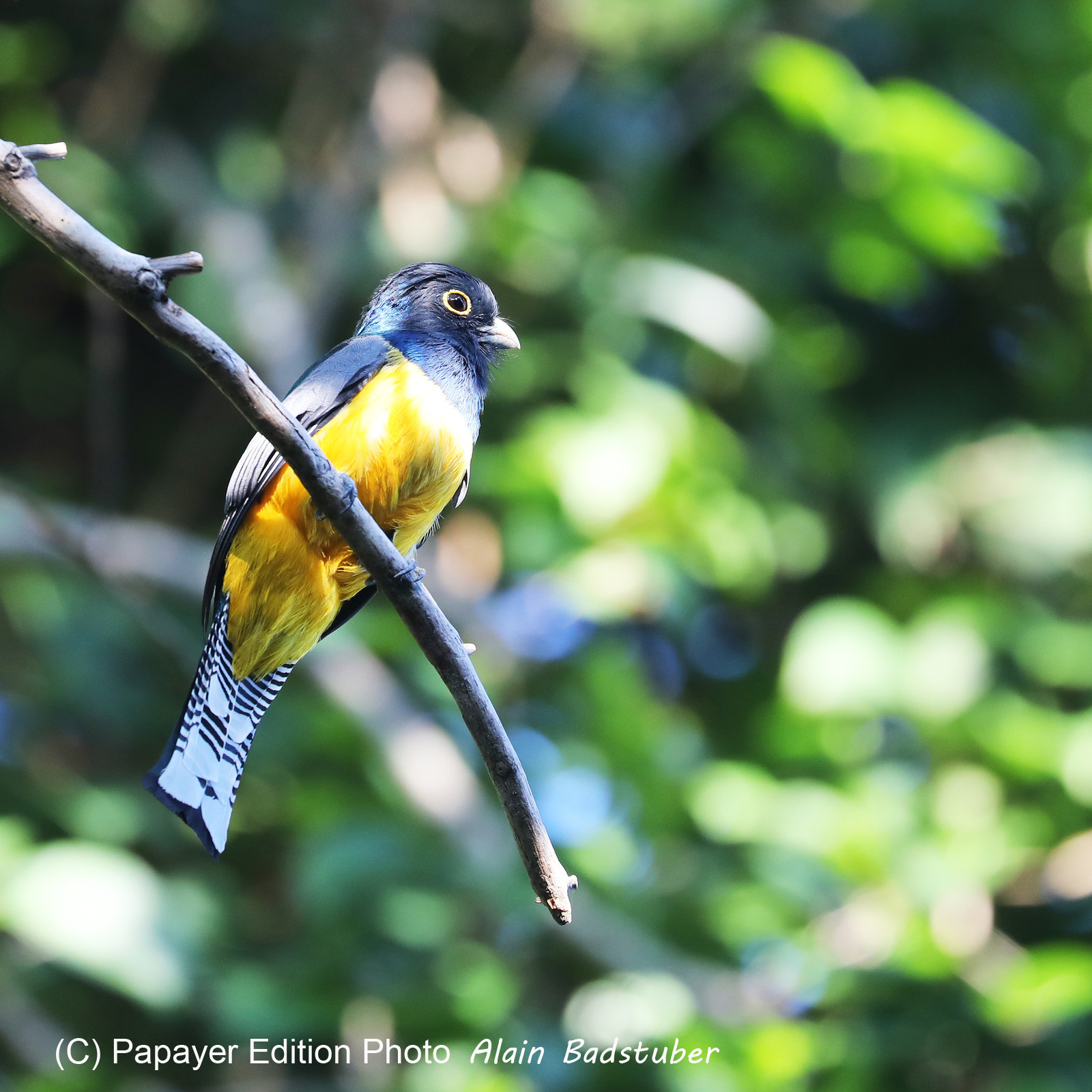 Deuxième séjour à Sarteneja, Bélize, Novembre - Décembre 2021