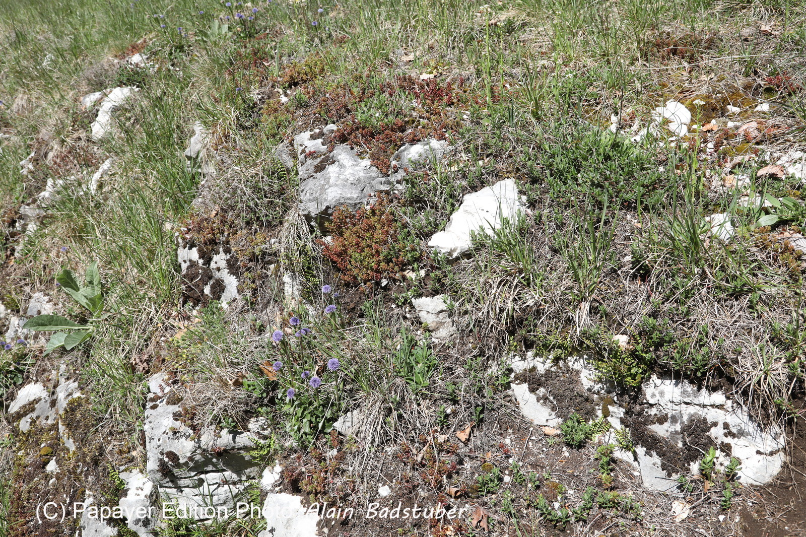 Ma balade du premier mai 2019 Ma balade du premier mai 2019