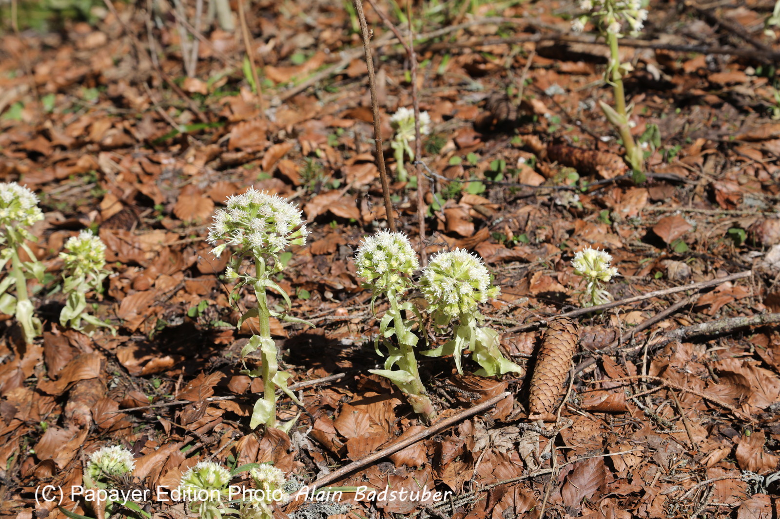 Ma balade du premier mai 2019 Ma balade du premier mai 2019