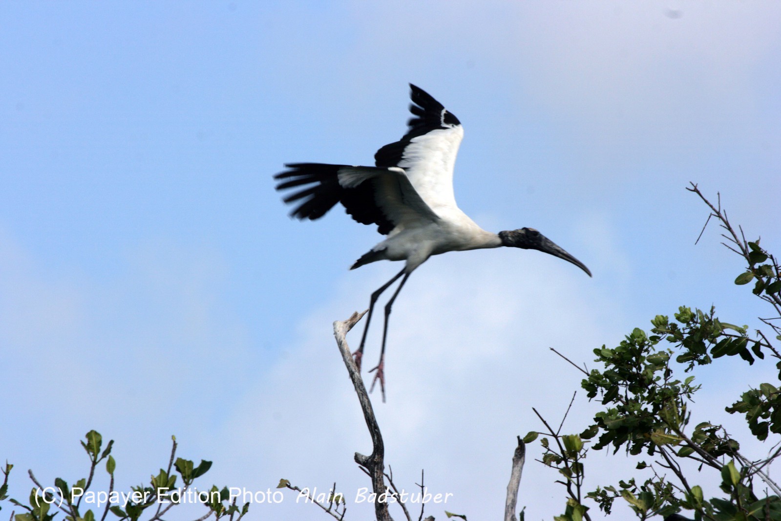 Images_Belize_2011_106