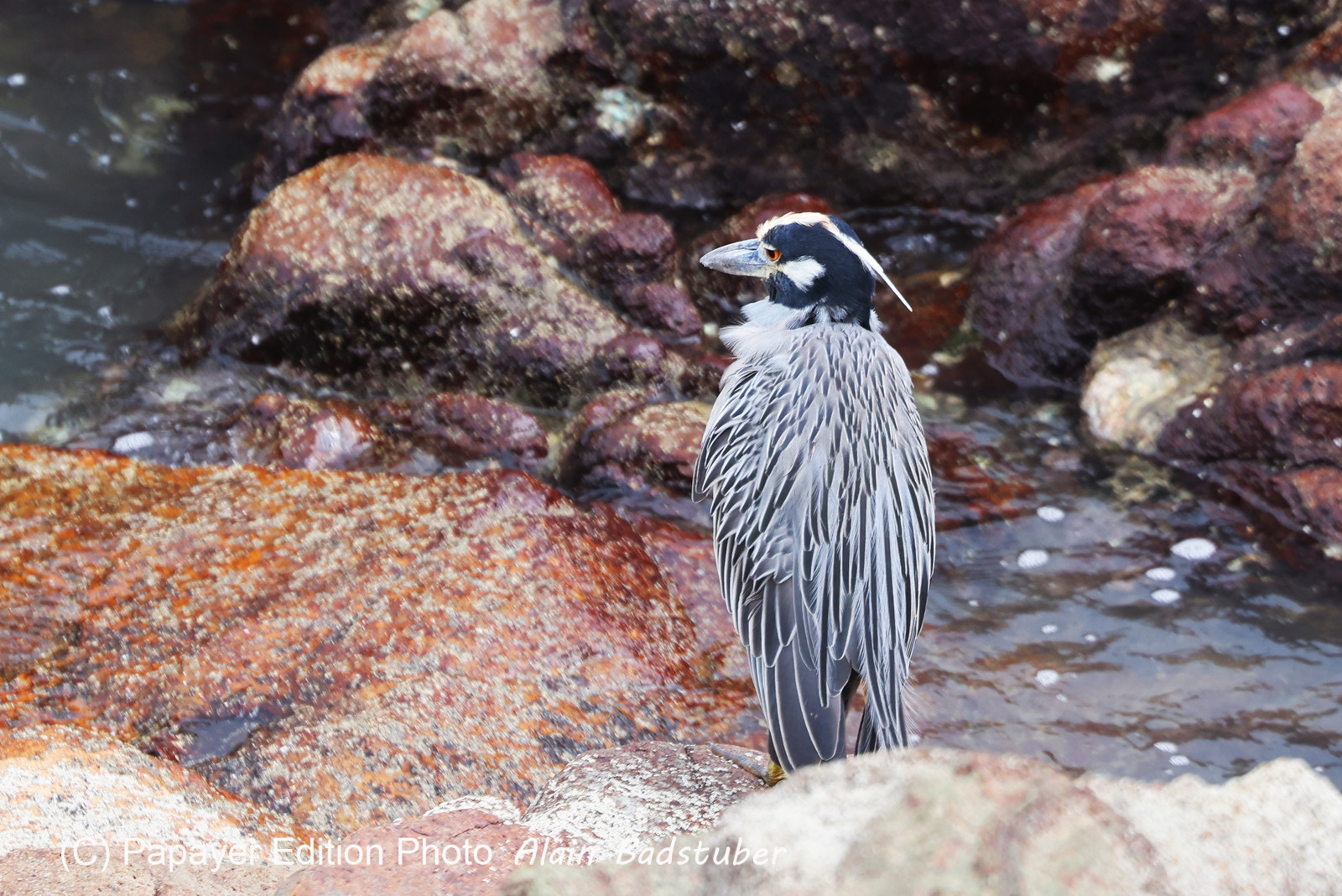 Punta Culebra Nature Center