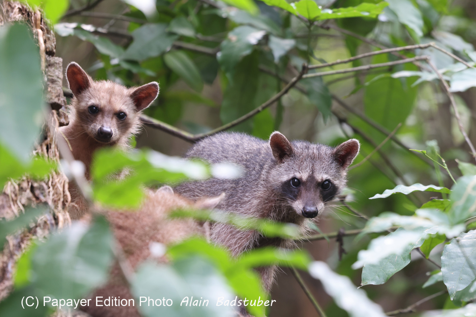 Punta Culebra Nature Center