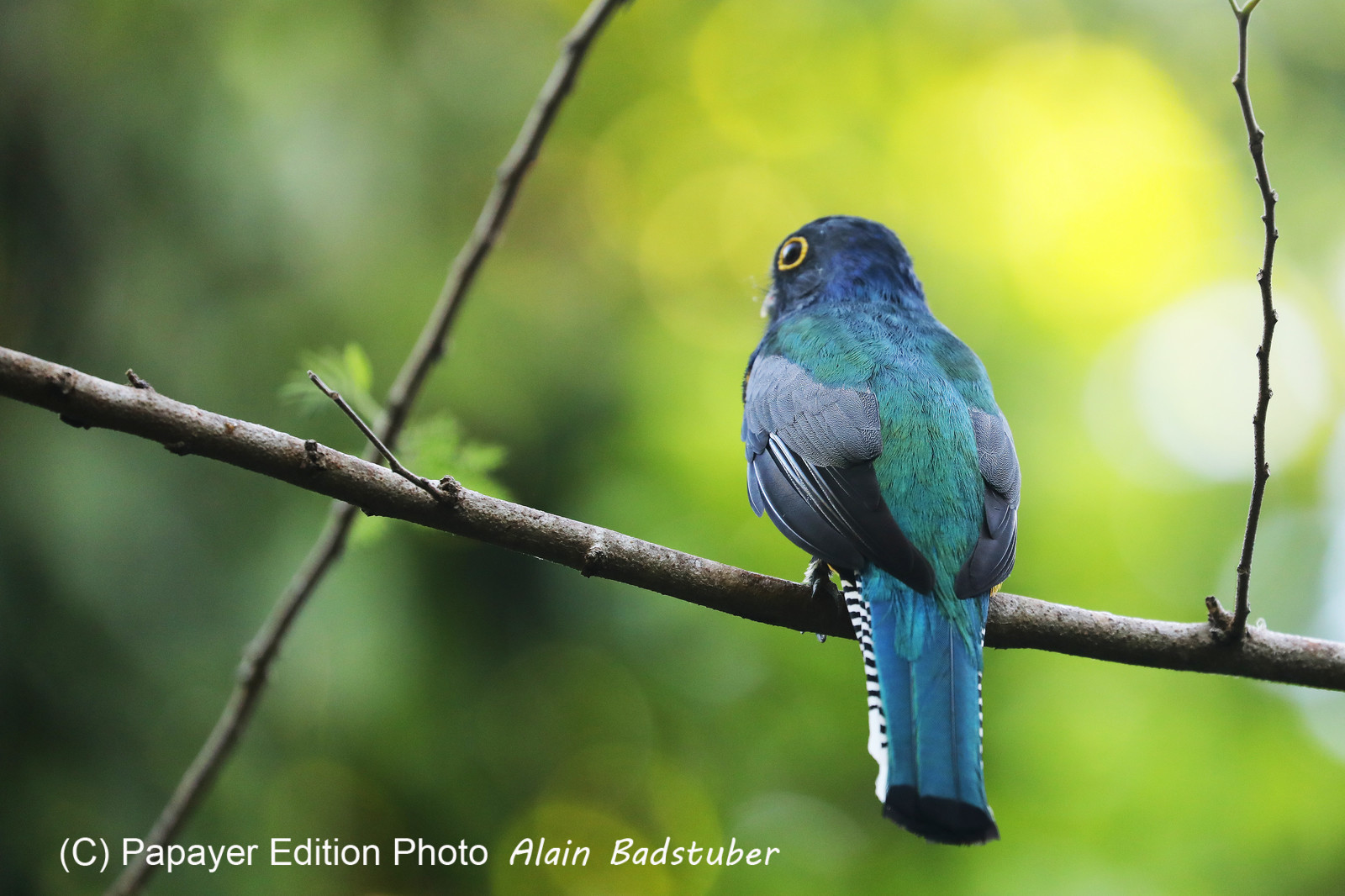 Deuxième séjour à Sarteneja, Bélize, Novembre - Décembre 2021