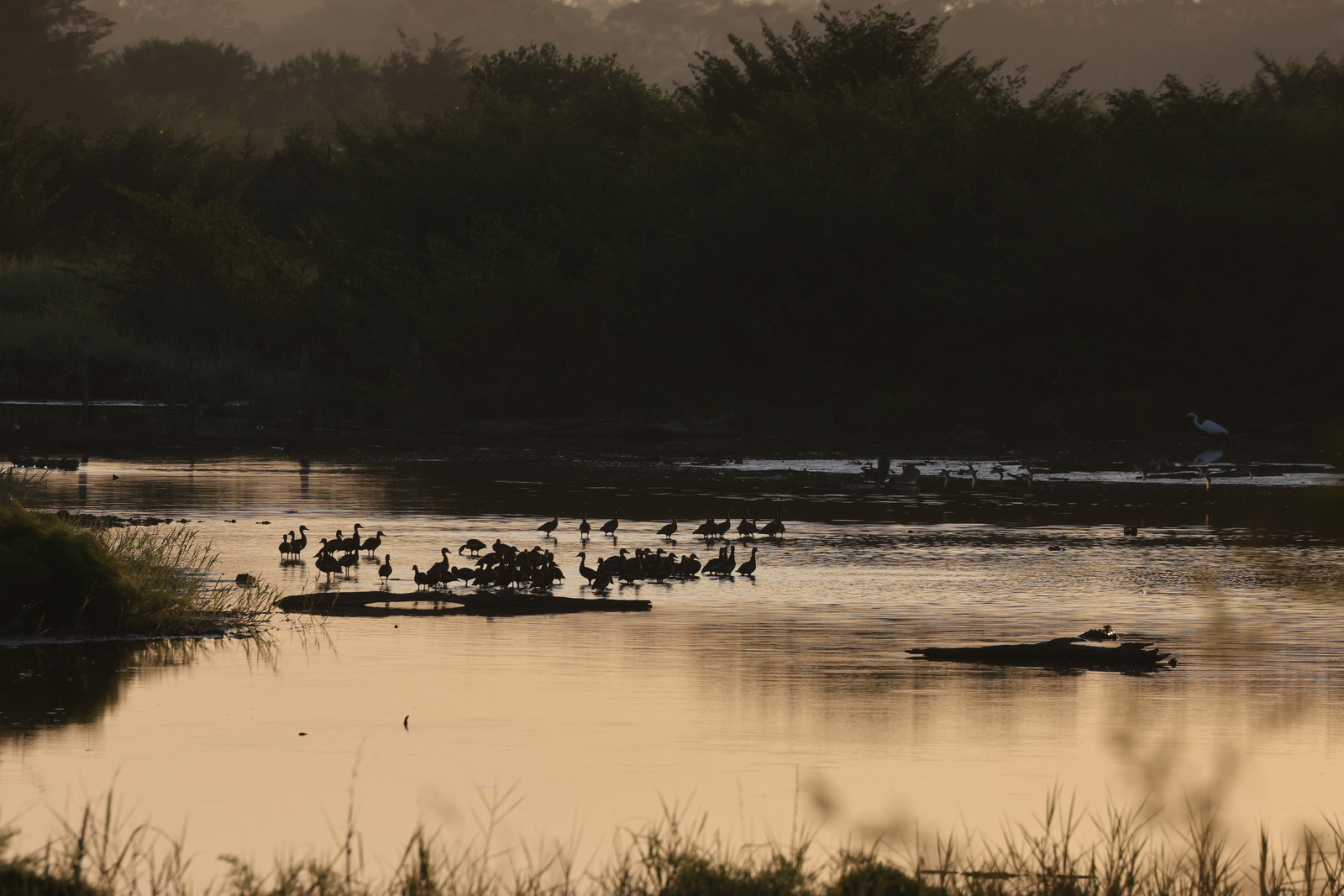 Ambiance-du-matin_3.jpg Ambiance-du-matin_3.jpg