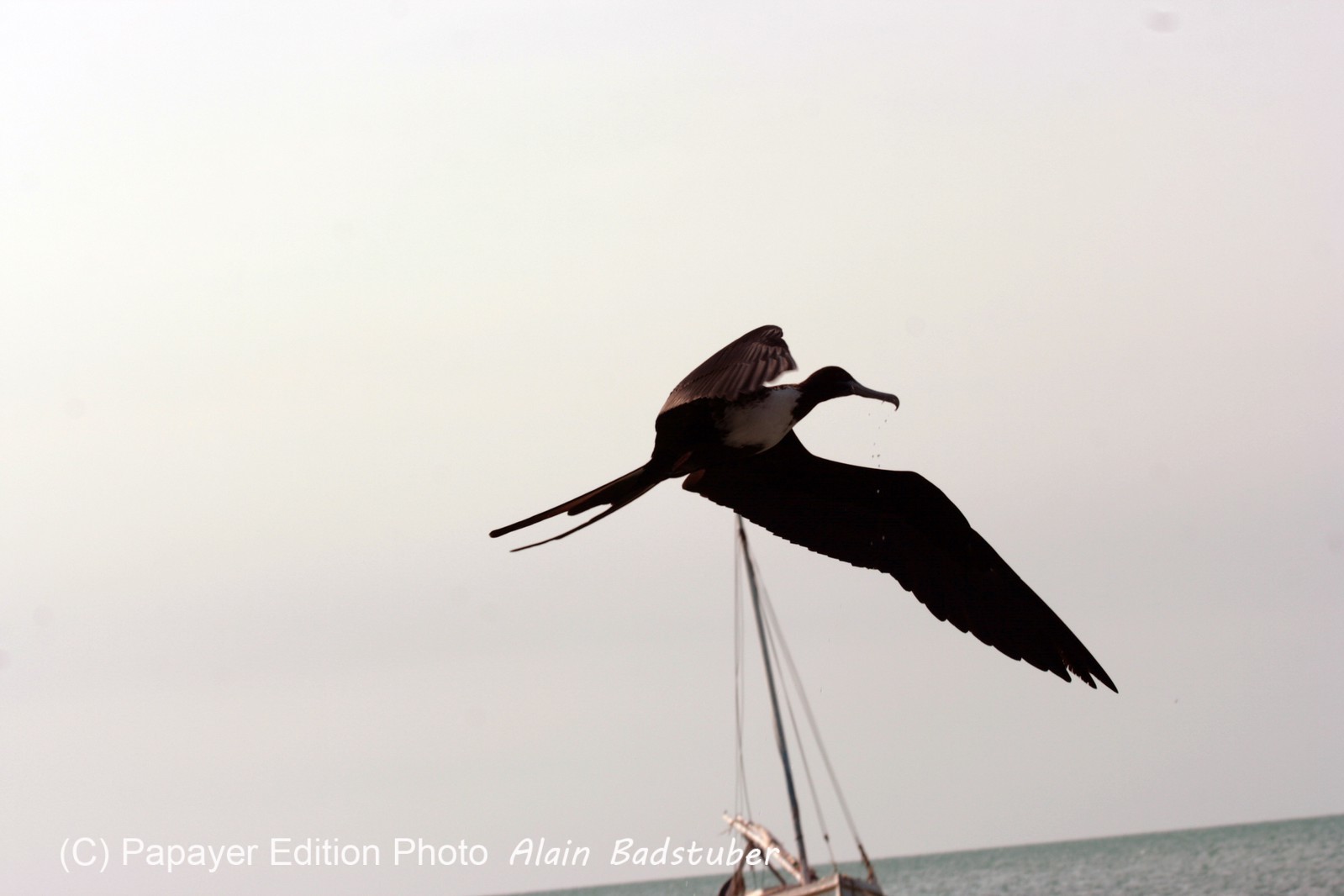 Images_Belize_2011_425