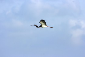 Images_Belize_2011_213