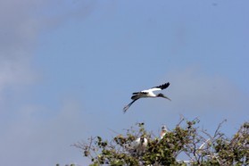 Images_Belize_2011_100