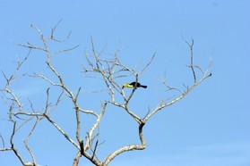 Images_Belize_2011_073