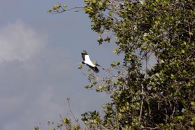 Images_Belize_2011_099