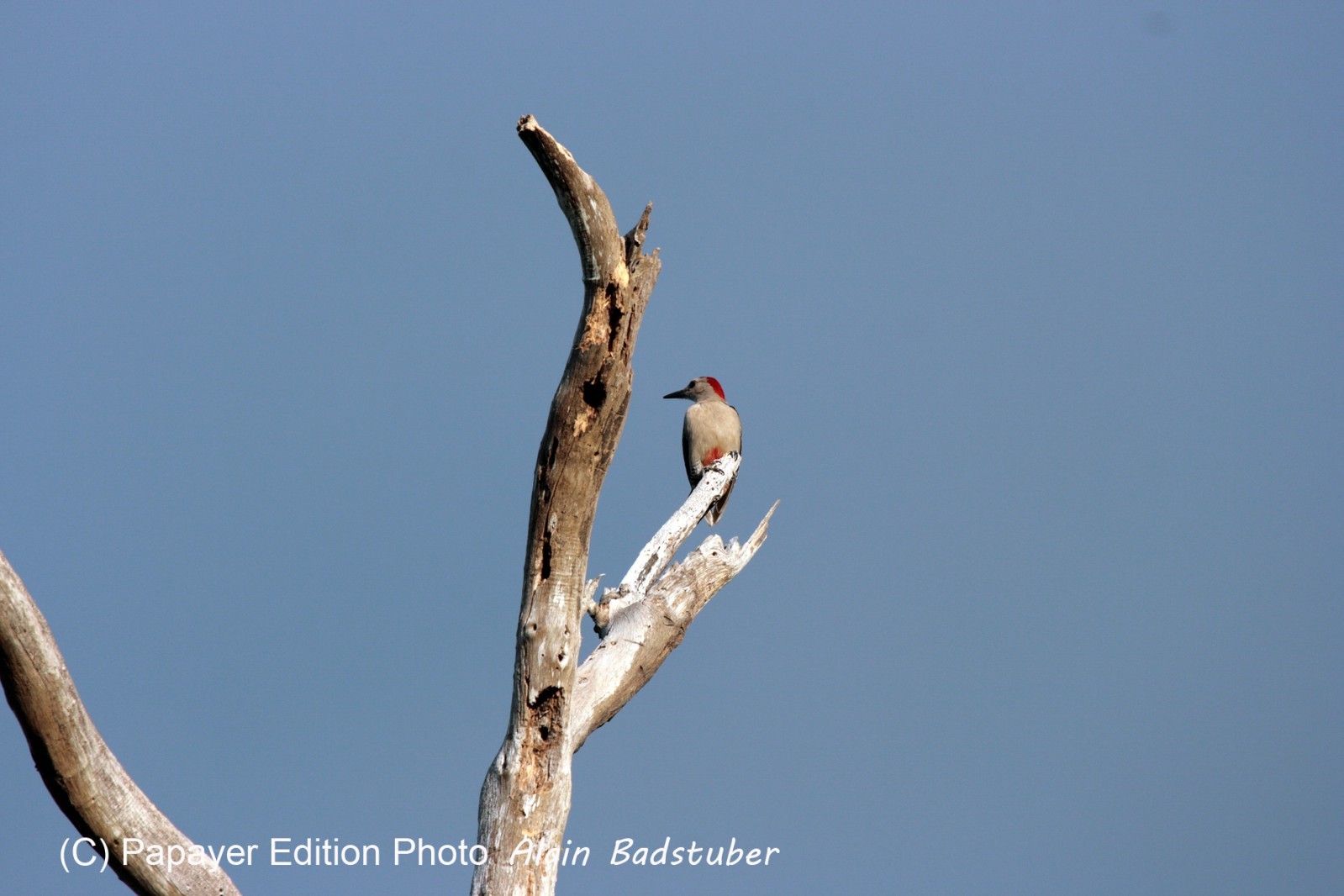 Images_Belize_2011_342