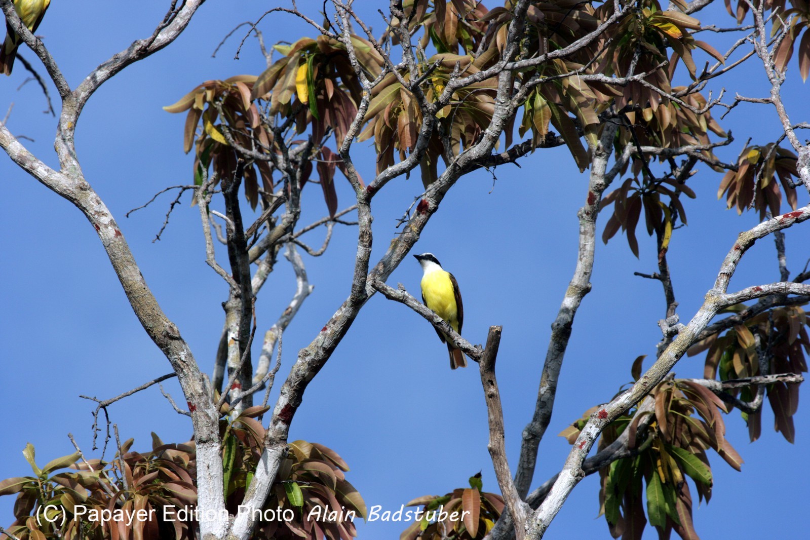 Images_Belize_2011_079