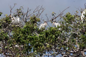 Images_Belize_2011_115