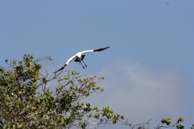 Images_Belize_2011_101