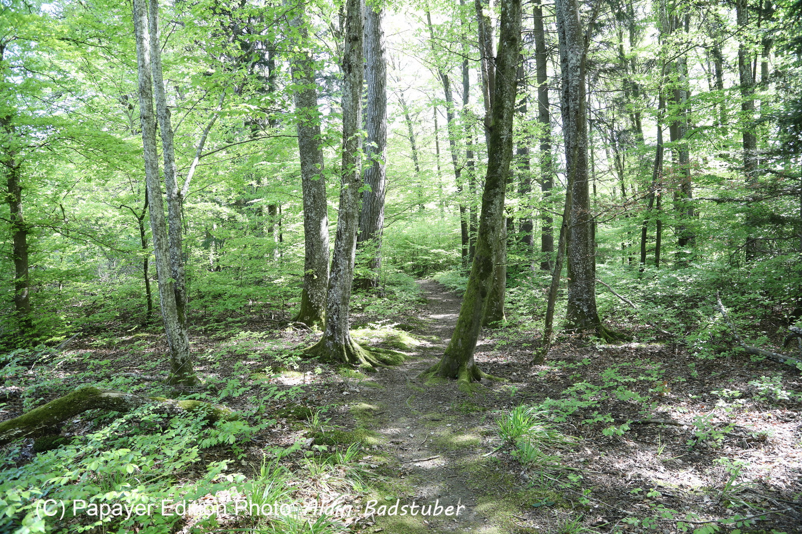 Ma balade du premier mai 2019