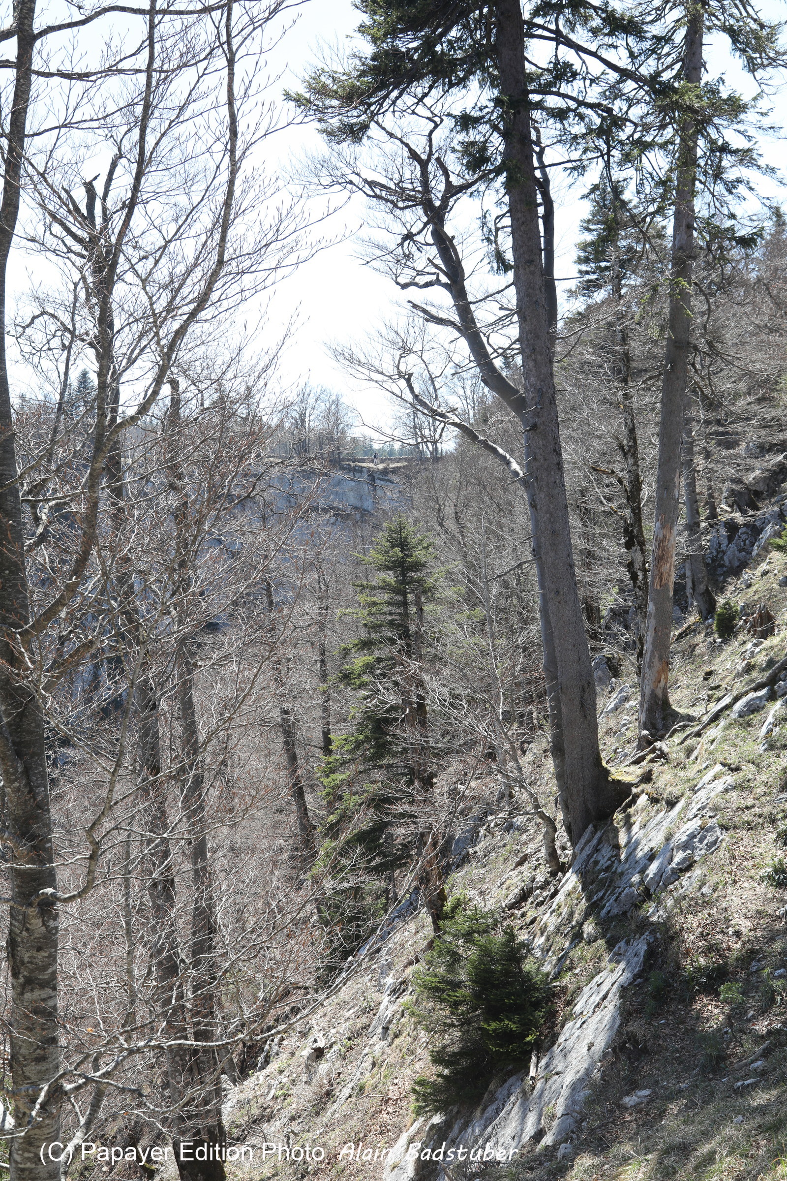 Ma balade du premier mai 2019 Ma balade du premier mai 2019