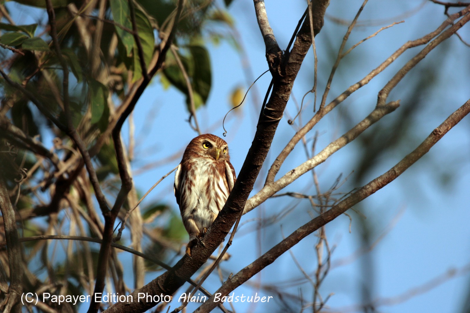 Images_Belize_2011_337