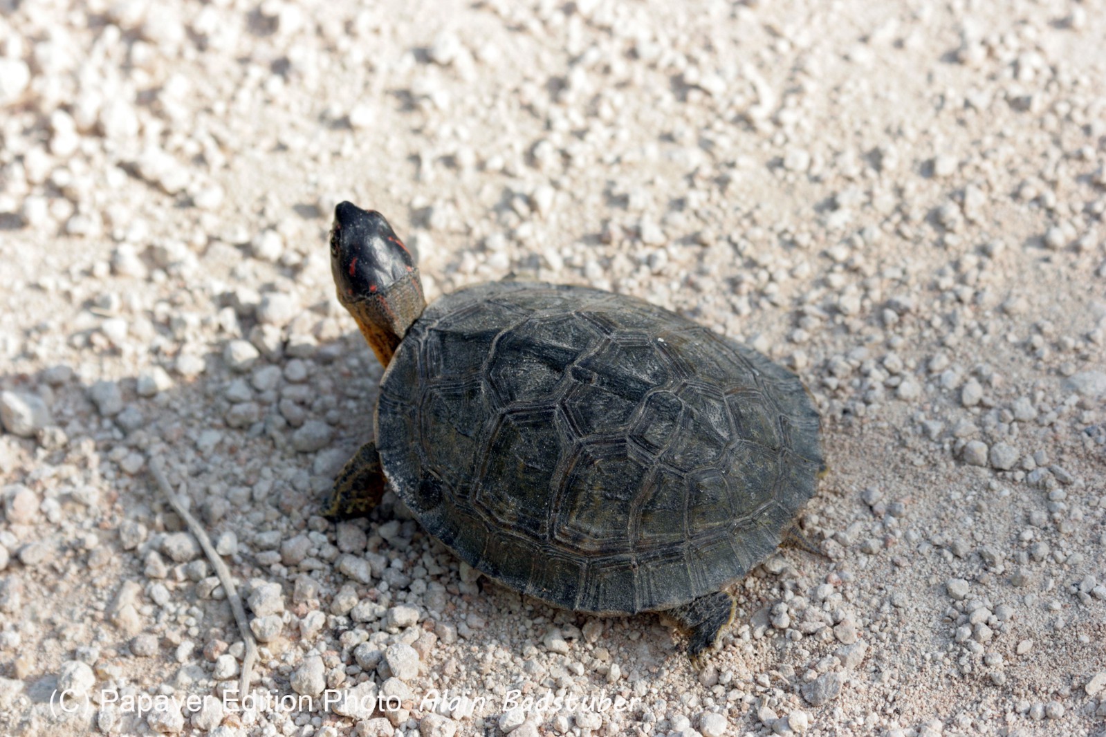 Images_Belize_2011_082