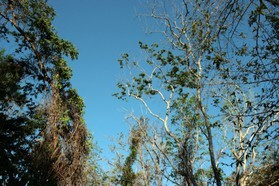 Images_Belize_2011_344