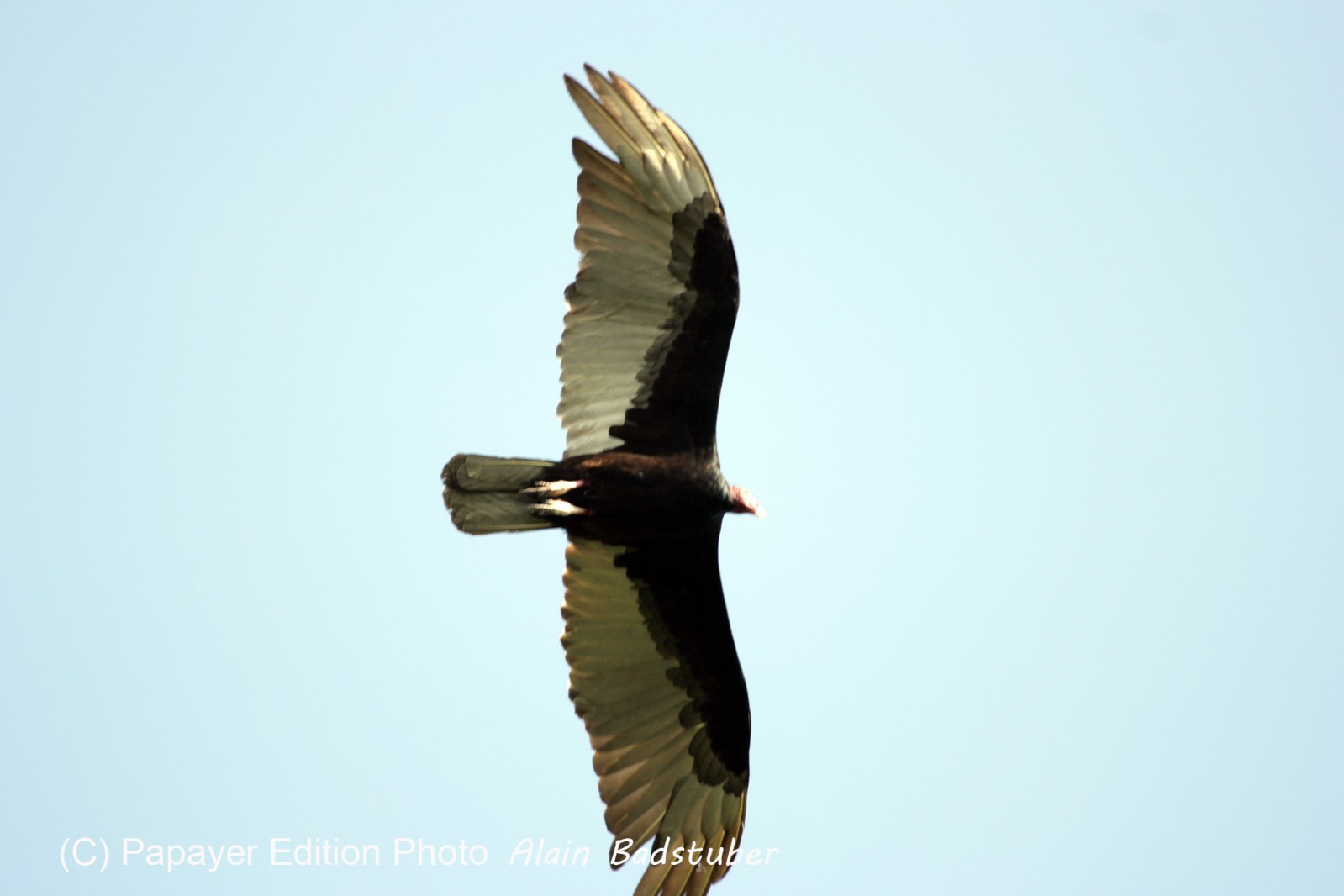 Images_Belize_2011_081