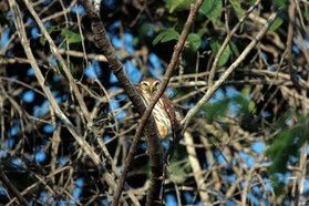 Images_Belize_2011_334