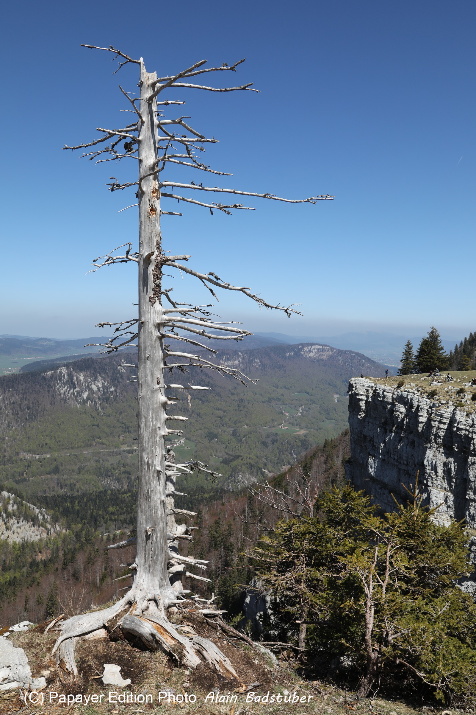Ma balade du premier mai 2019 Ma balade du premier mai 2019