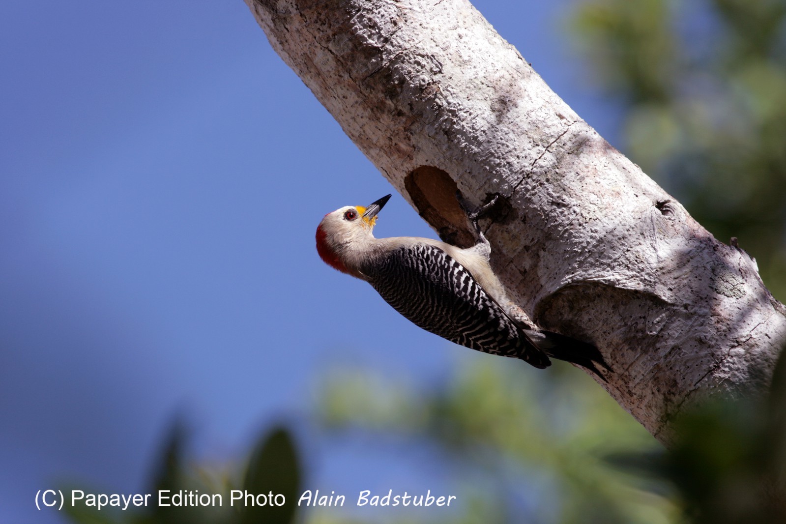Images_Belize_2011_062