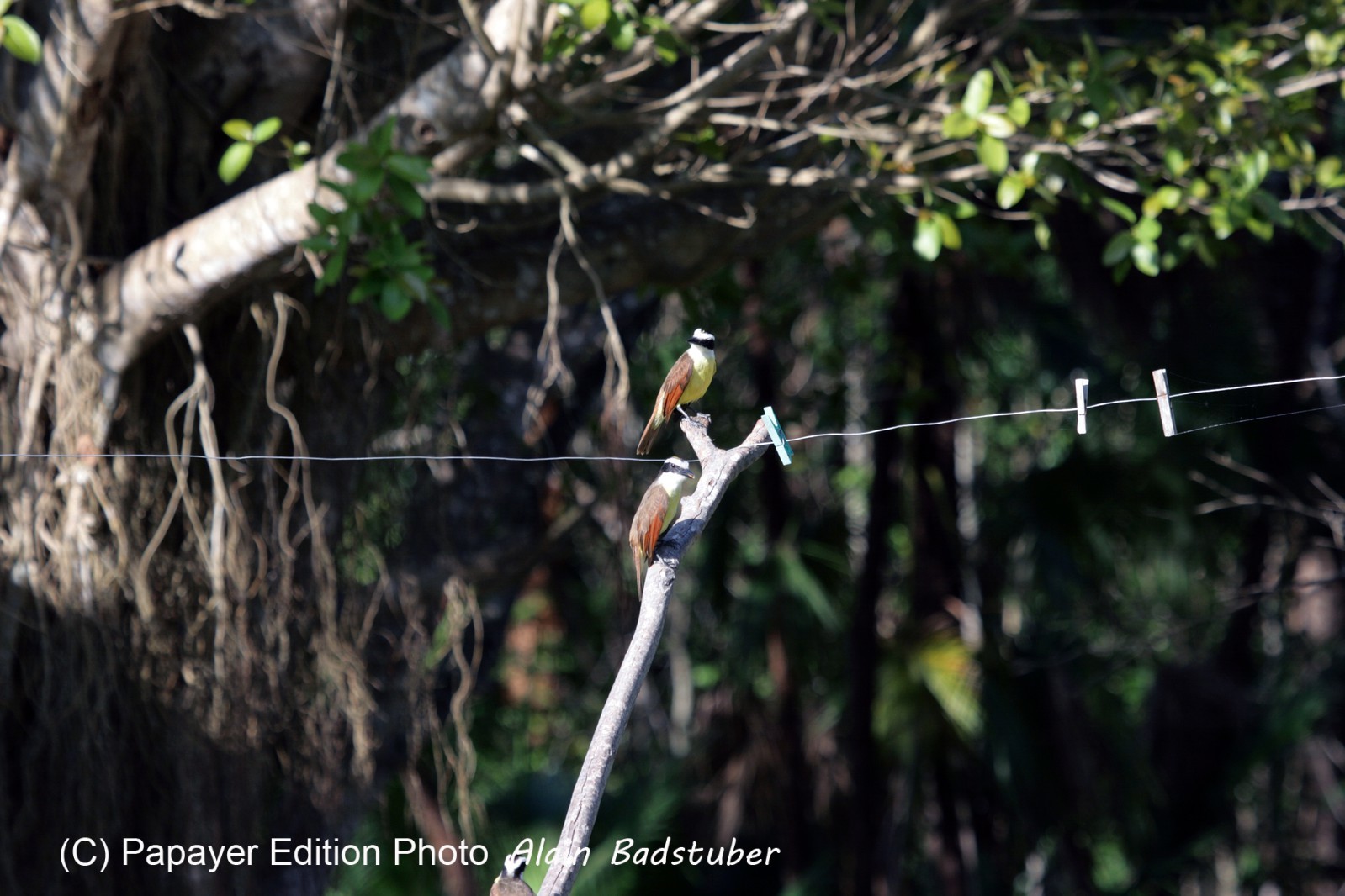 Images_Belize_2011_036