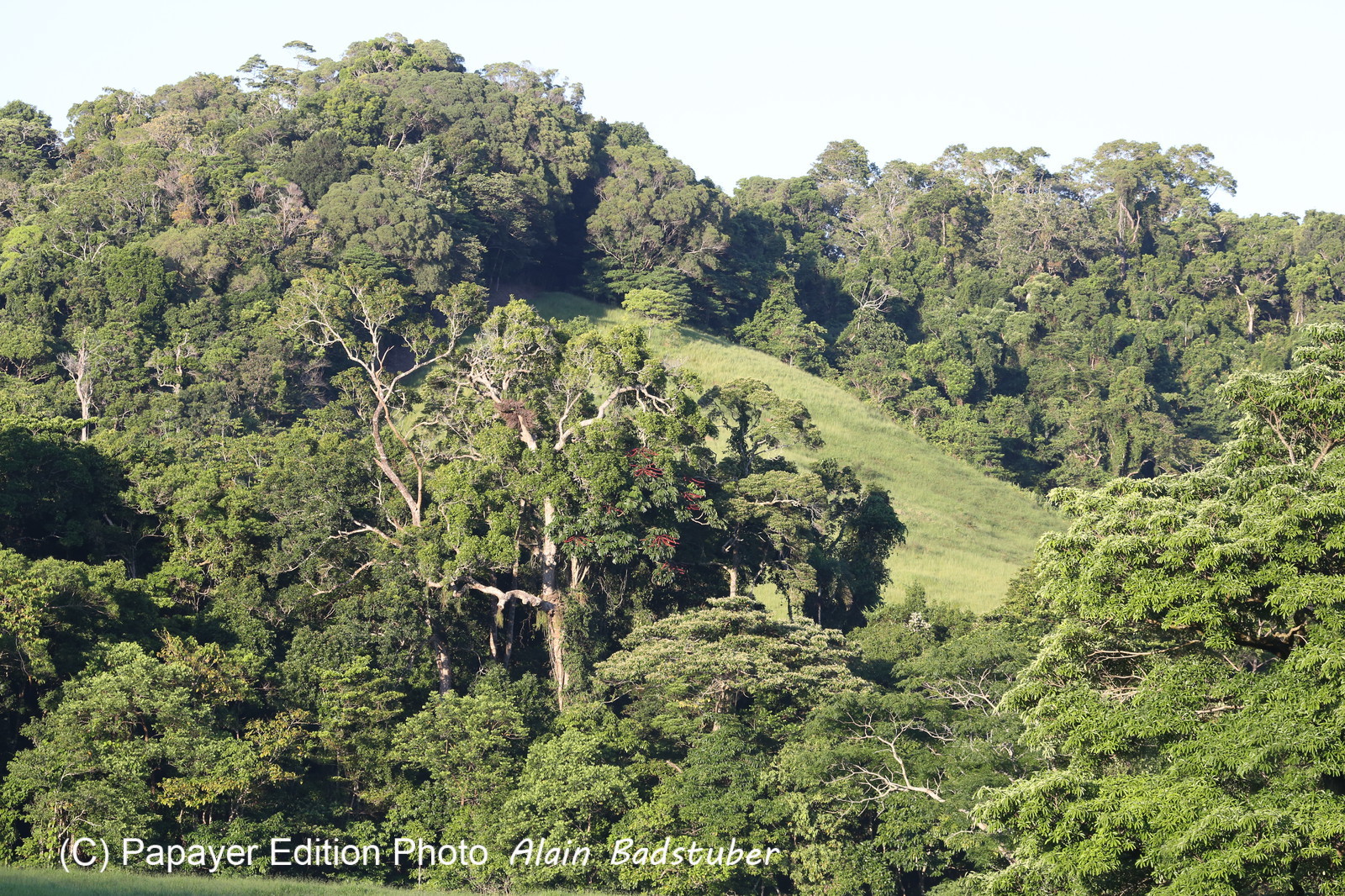 L'Australie à Cow Bay et Cape Tribulation en 2017