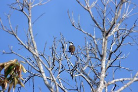 Images_Belize_2011_074