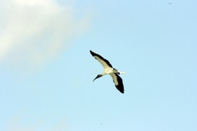 Images_Belize_2011_098