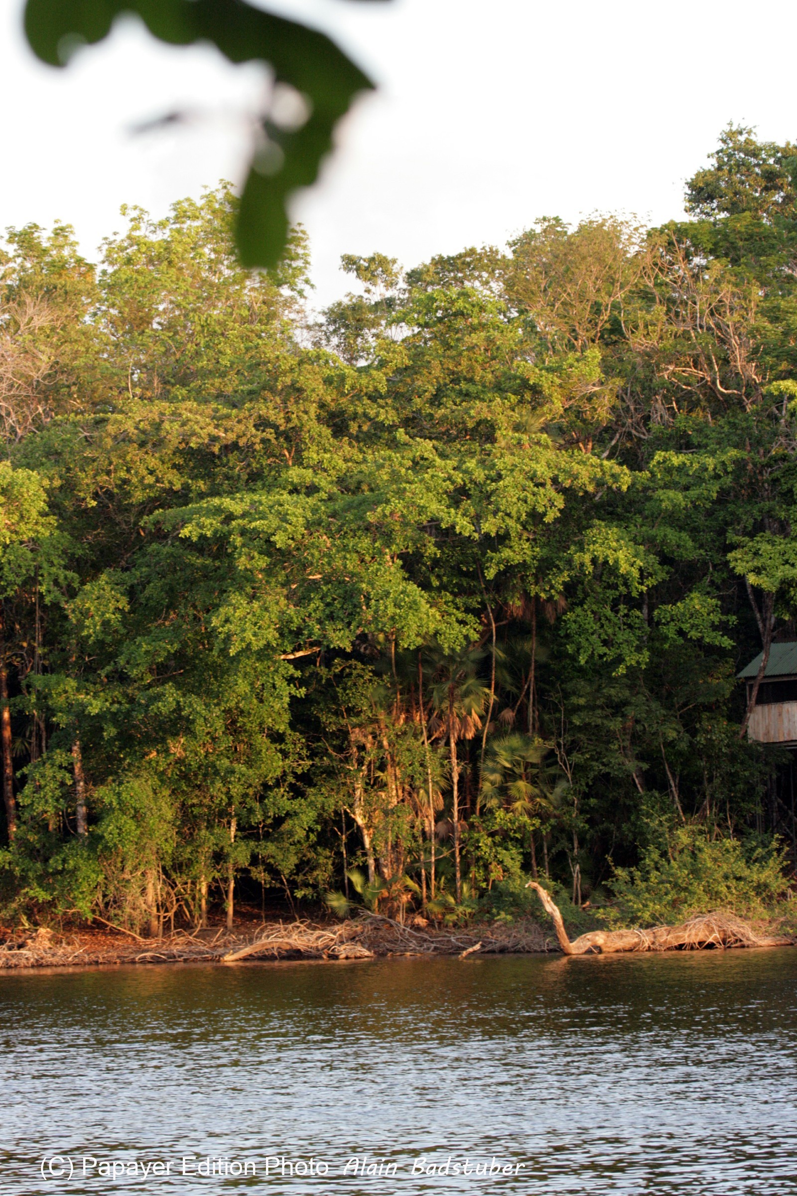 Images_Belize_2011_279