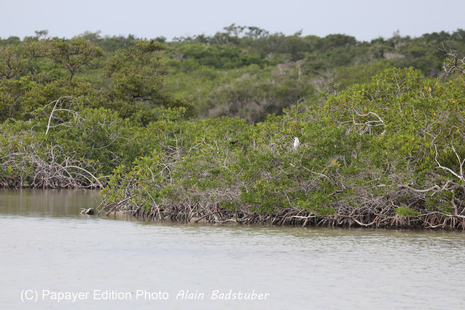 Deuxième séjour à Sarteneja, Bélize, Novembre - Décembre 2021