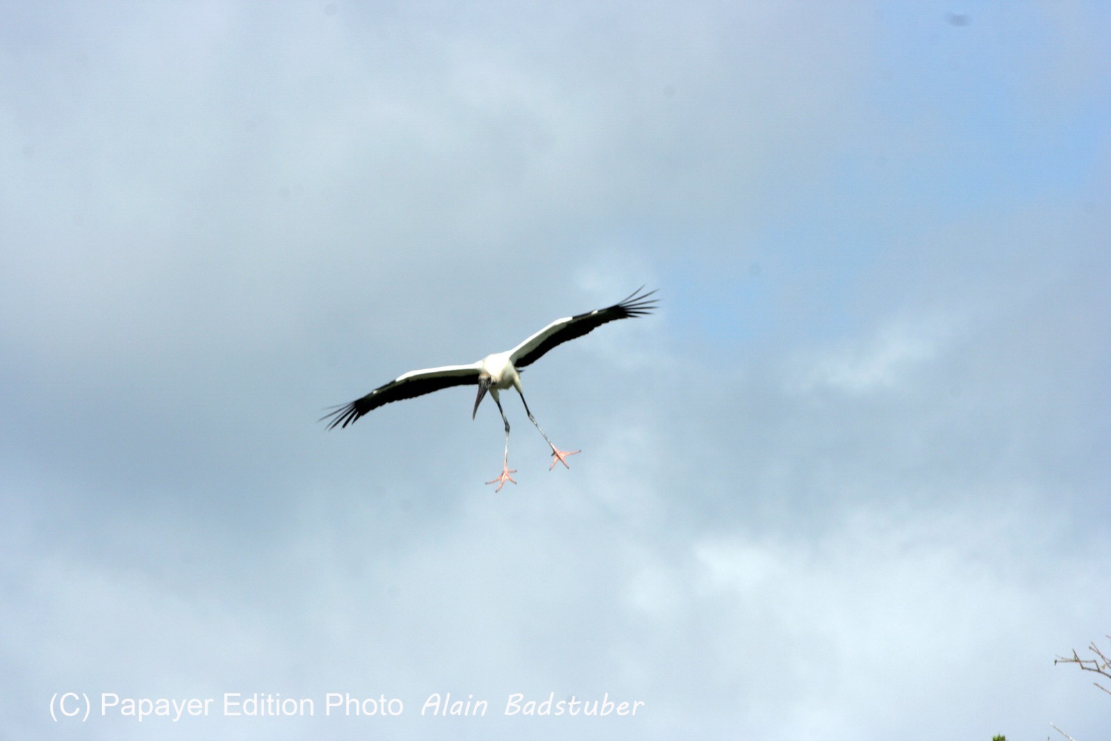 Images_Belize_2011_102