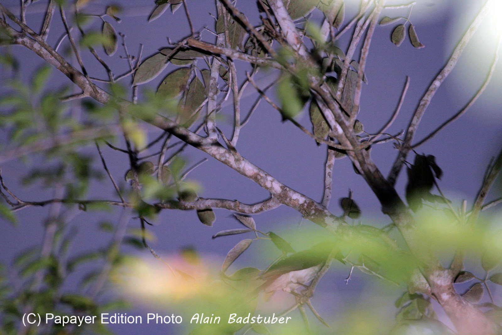 Images_Belize_2011_283