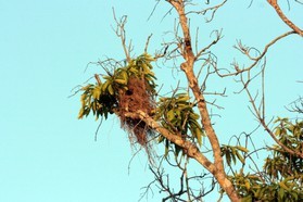 Images_Belize_2011_364