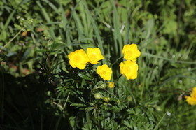 Ma balade du premier mai 2019