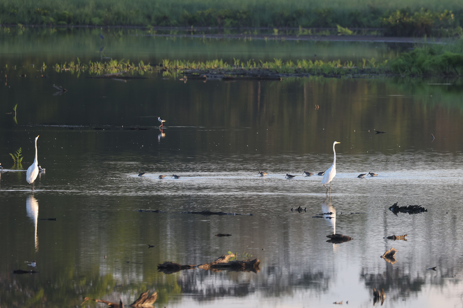 Ambiance-du-matin_1.jpg Ambiance-du-matin_1.jpg