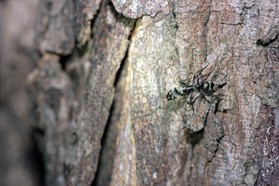 Images_Belize_2011_324